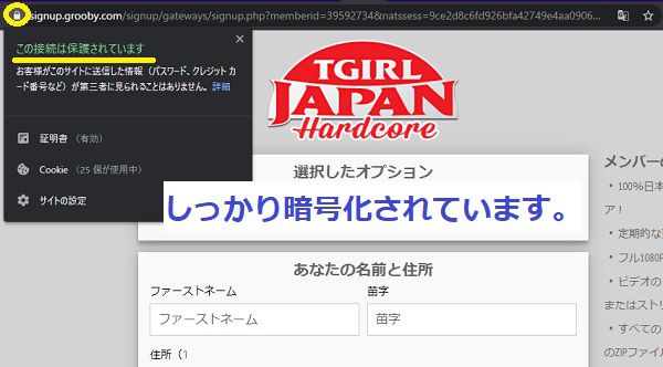 TGirl Japan Hardcoreの決済画面はしっかりSSL化されている